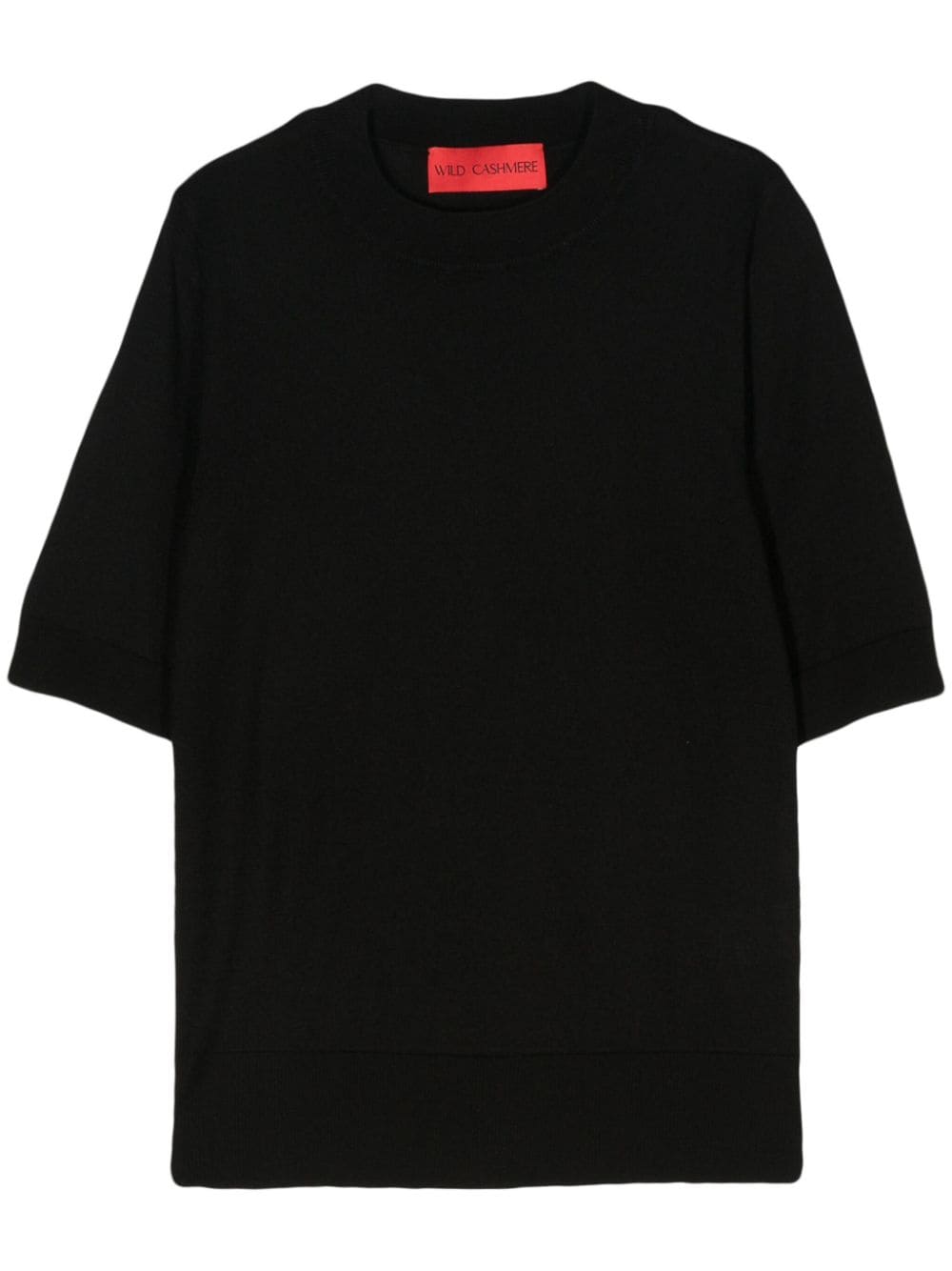 WILD CASHMERE Sweaters Black