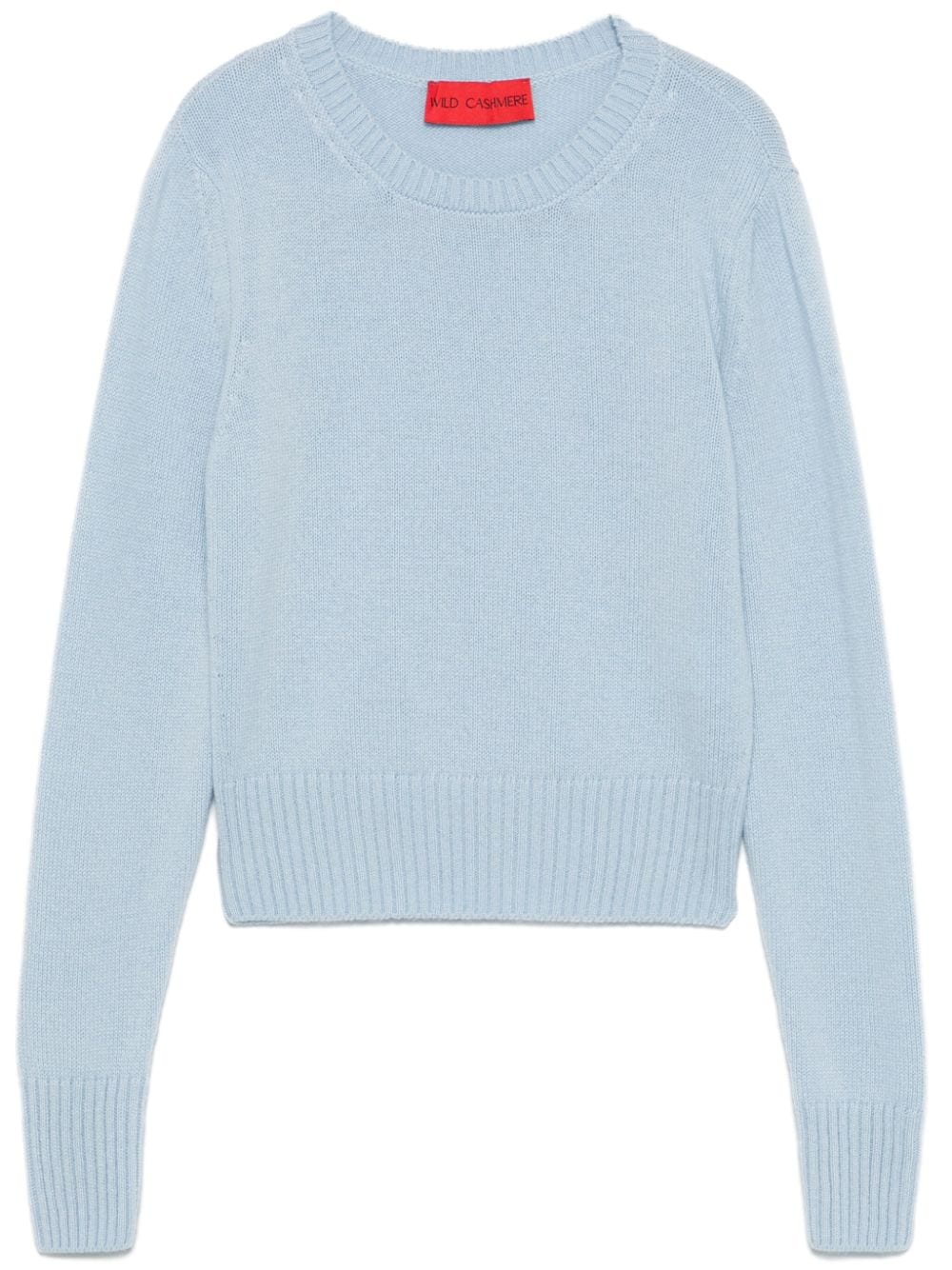 WILD CASHMERE Sweaters Clear Blue