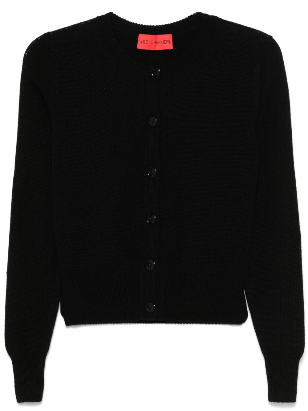 WILD CASHMERE Sweaters Black