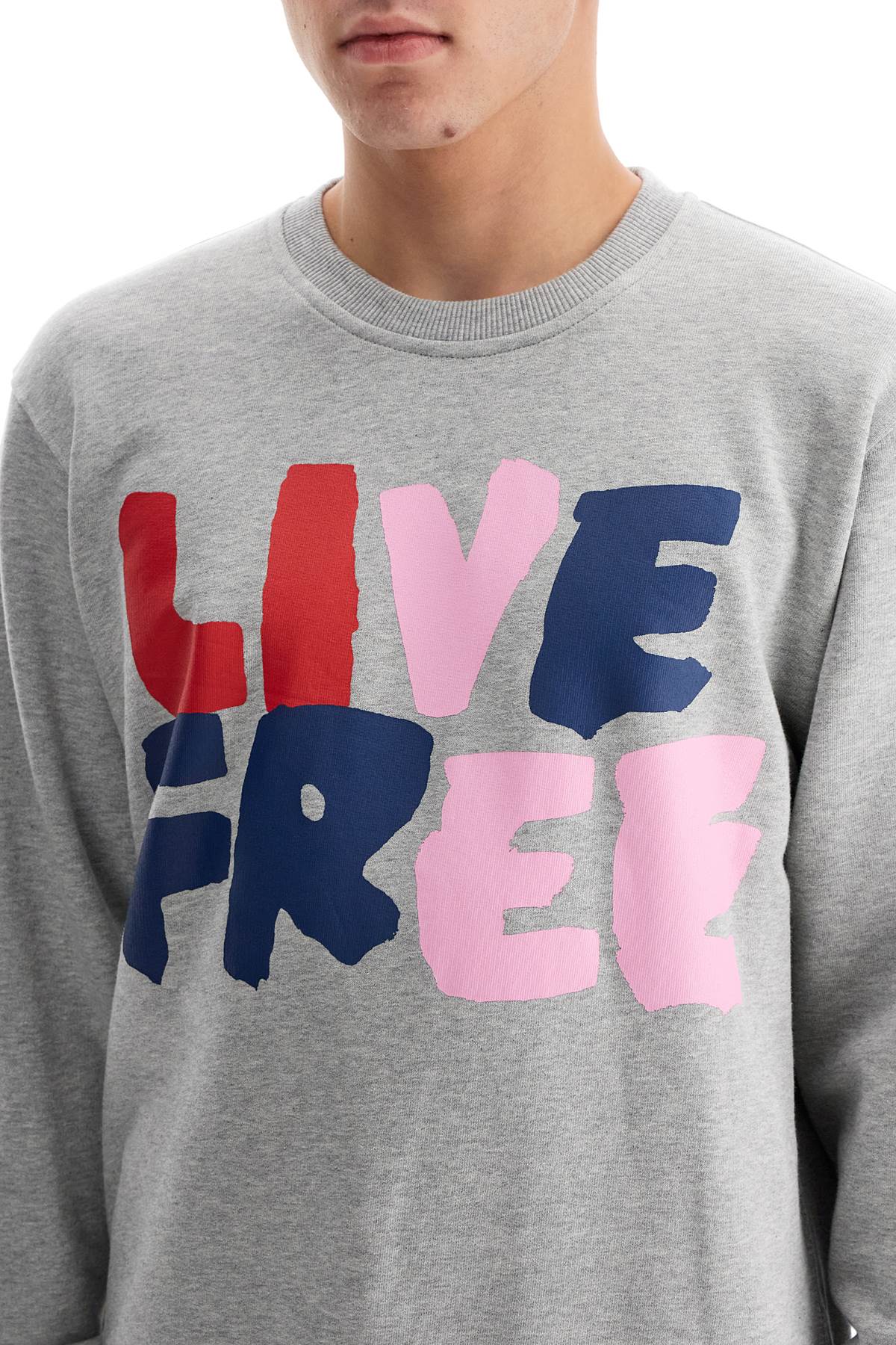 Comme Des Garcons Shirt live free hooded sweat