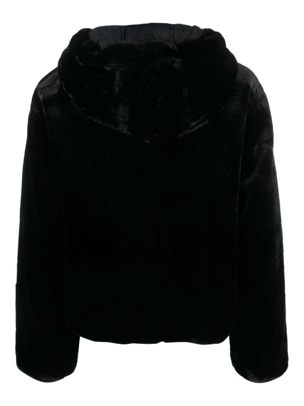 Moose Knuckles Jackets Black