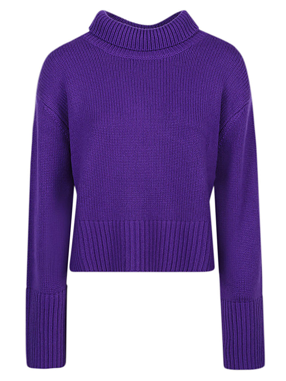 LISA YANG Sweaters Purple