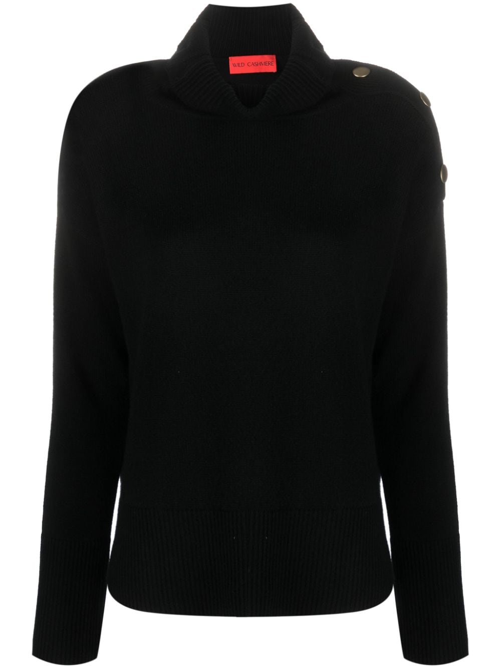 WILD CASHMERE Sweaters Black